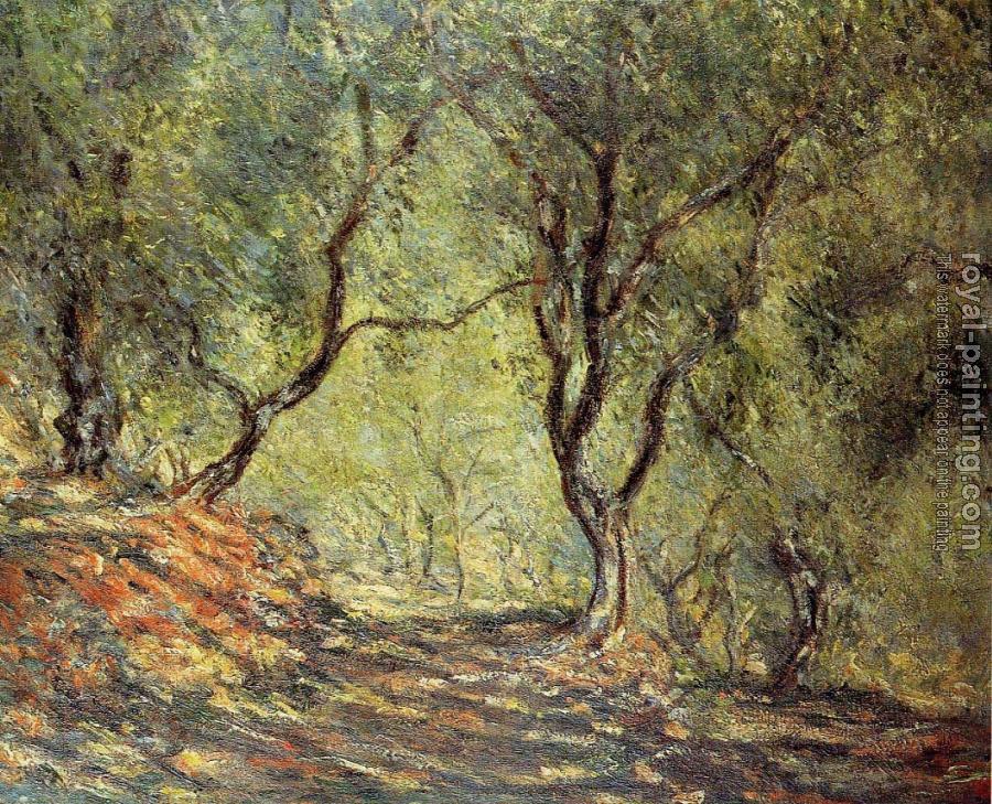 Claude Oscar Monet : The Olive Tree Wood in the Moreno Garden